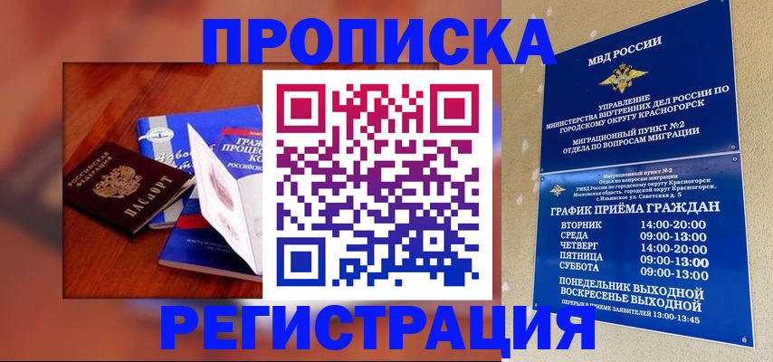 временная регистрация для школы в Новомичуринске